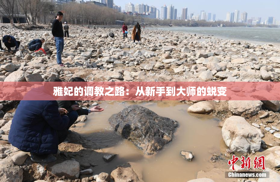 雅妃的调教之路：从新手到大师的蜕变