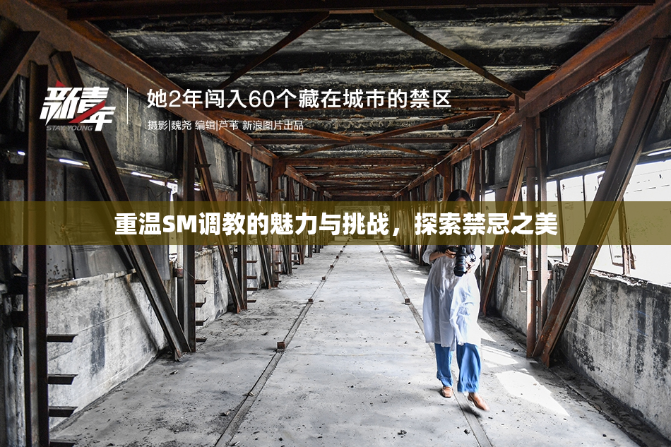 重温SM调教的魅力与挑战，探索禁忌之美