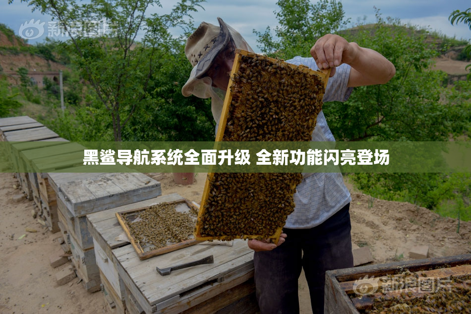 黑鲨导航系统全面升级 全新功能闪亮登场