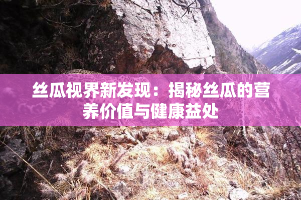 丝瓜视界新发现：揭秘丝瓜的营养价值与健康益处