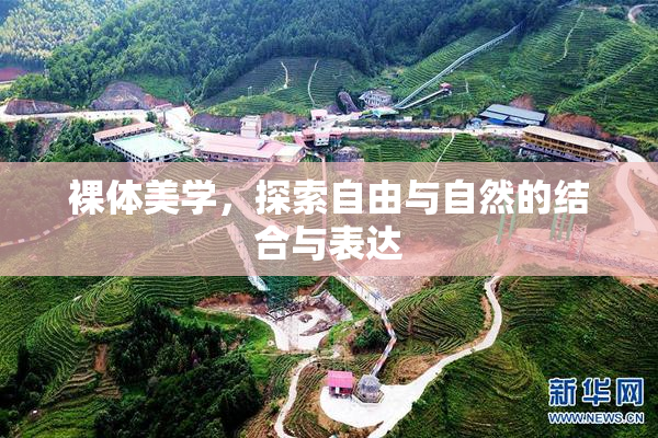 裸体美学，探索自由与自然的结合与表达