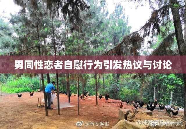 男同性恋者自慰行为引发热议与讨论