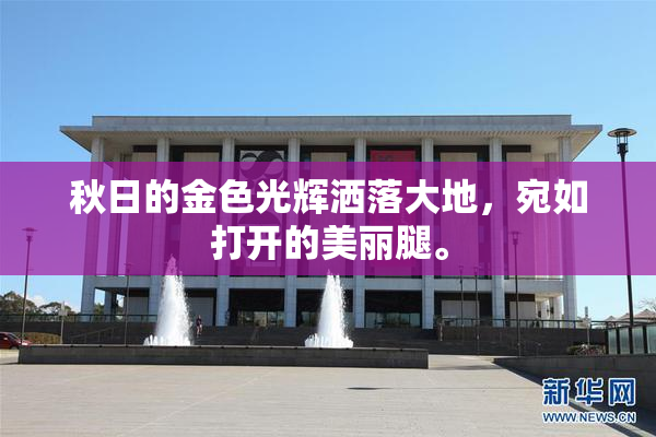 秋日的金色光辉洒落大地，宛如打开的美丽腿。
