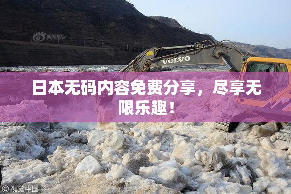 日本无码内容免费分享，尽享无限乐趣！