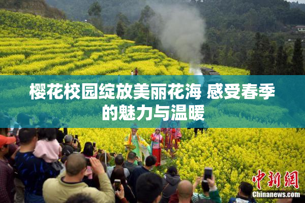 樱花校园绽放美丽花海 感受春季的魅力与温暖