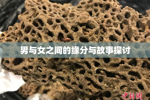 男与女之间的缘分与故事探讨