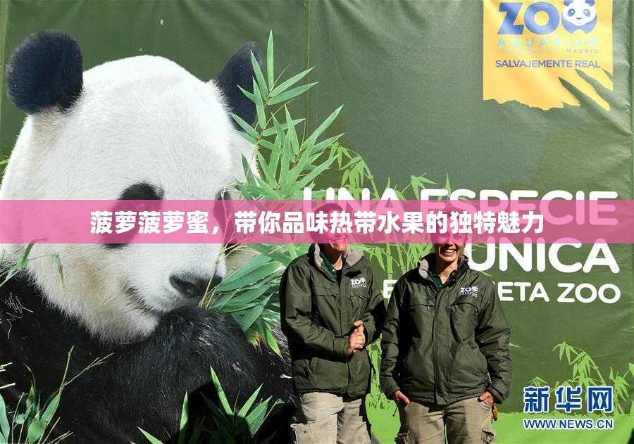 菠萝菠萝蜜，带你品味热带水果的独特魅力