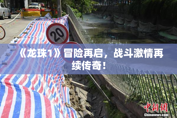 《龙珠1》冒险再启，战斗激情再续传奇！