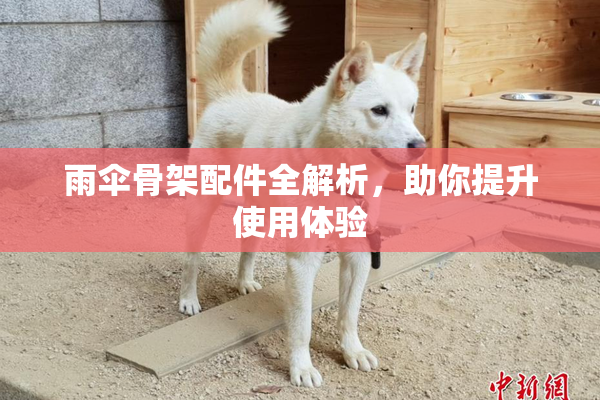 雨伞骨架配件全解析，助你提升使用体验