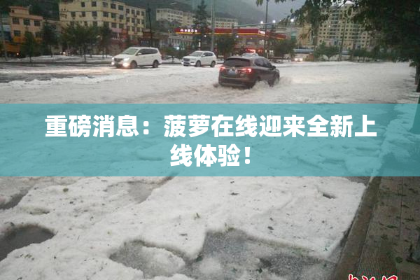 重磅消息：菠萝在线迎来全新上线体验！