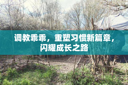 调教乖乖，重塑习惯新篇章，闪耀成长之路