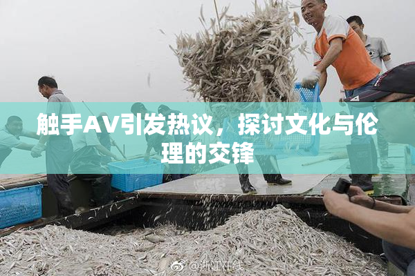 触手AV引发热议，探讨文化与伦理的交锋