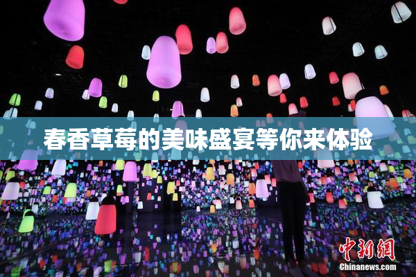 春香草莓的美味盛宴等你来体验
