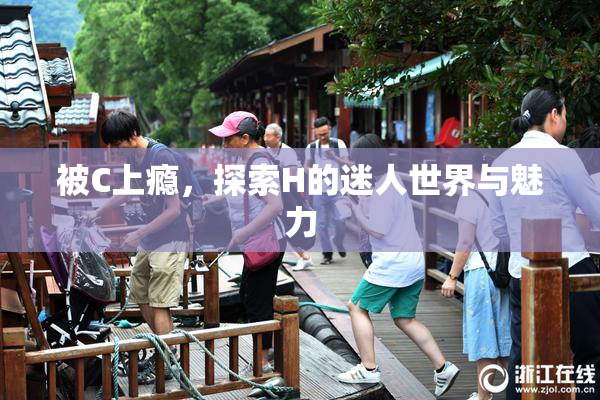 被C上瘾，探索H的迷人世界与魅力