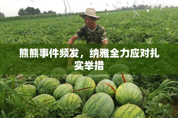 熊熊事件频发，纳雅全力应对扎实举措