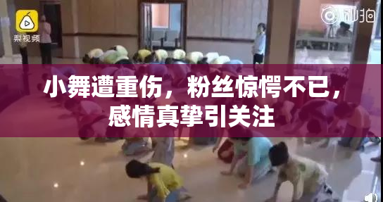 小舞遭重伤，粉丝惊愕不已，感情真挚引关注