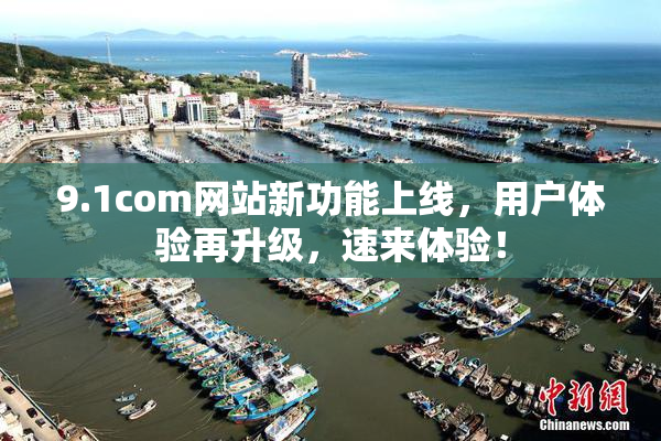 9.1com网站新功能上线，用户体验再升级，速来体验！