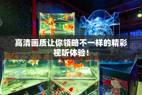 高清画质让你领略不一样的精彩视听体验！