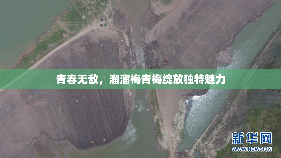 青春无敌，溜溜梅青梅绽放独特魅力