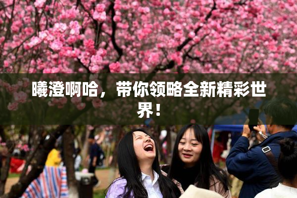 曦澄啊哈，带你领略全新精彩世界！