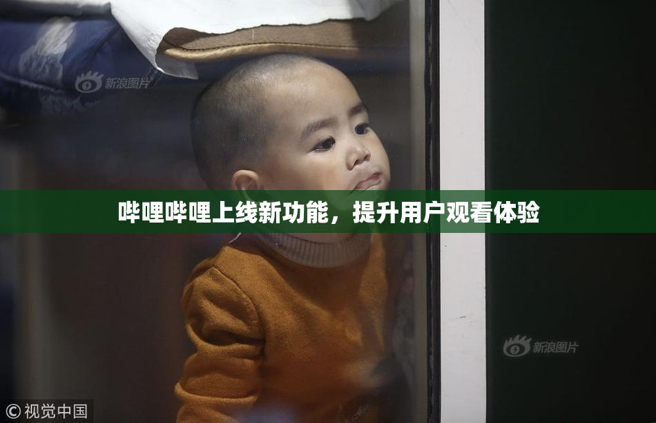 哔哩哔哩上线新功能，提升用户观看体验