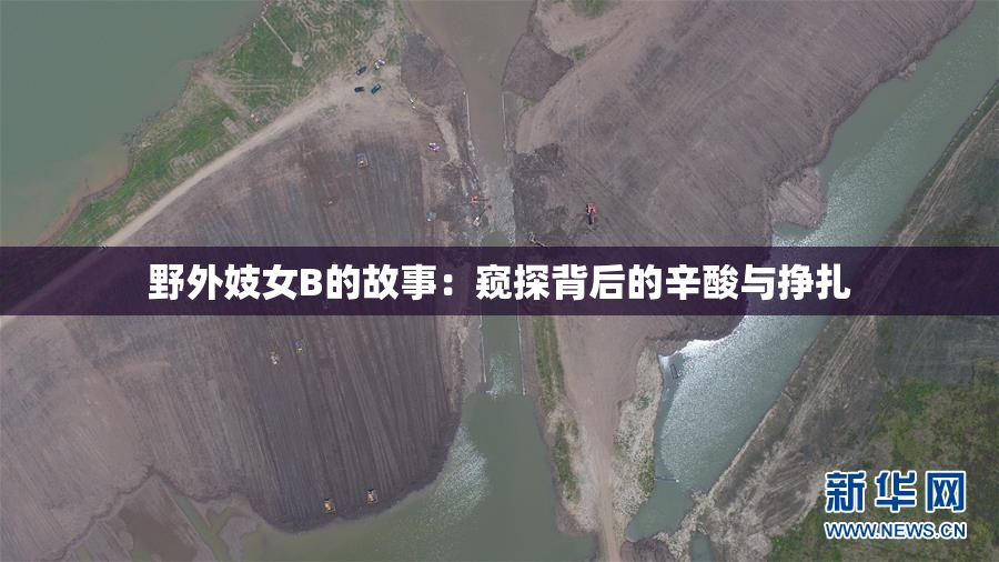 野外妓女B的故事：窥探背后的辛酸与挣扎