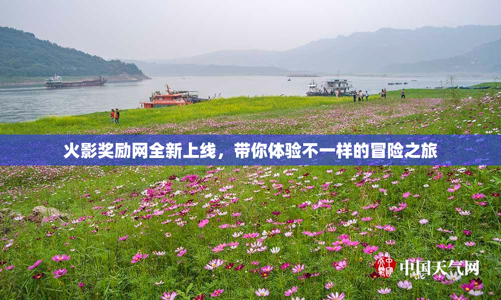火影奖励网全新上线，带你体验不一样的冒险之旅