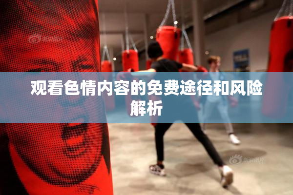 观看色情内容的免费途径和风险解析
