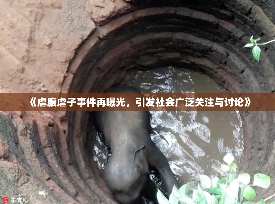 《虐腹虐子事件再曝光，引发社会广泛关注与讨论》