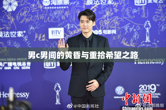 男c男间的黄昏与重拾希望之路