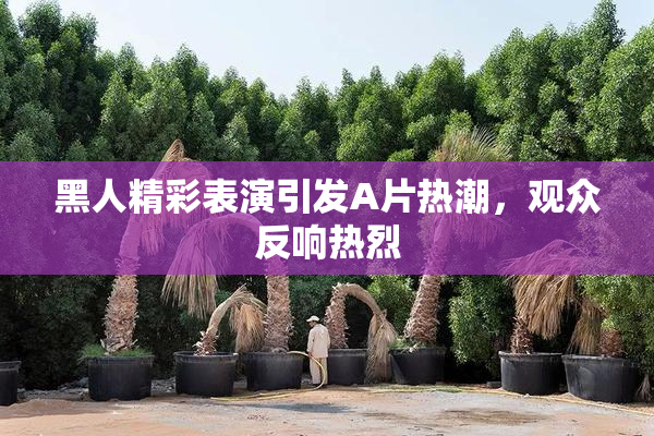 黑人精彩表演引发A片热潮，观众反响热烈