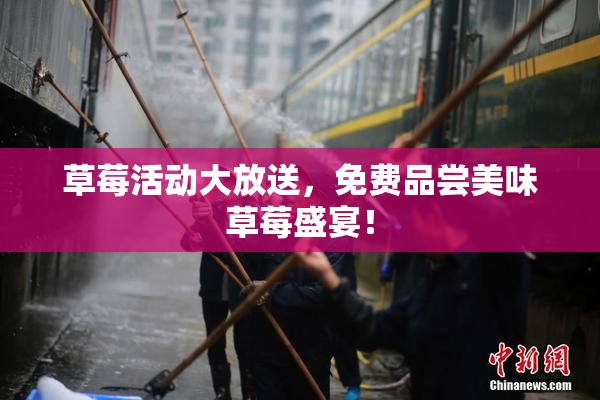 草莓活动大放送，免费品尝美味草莓盛宴！