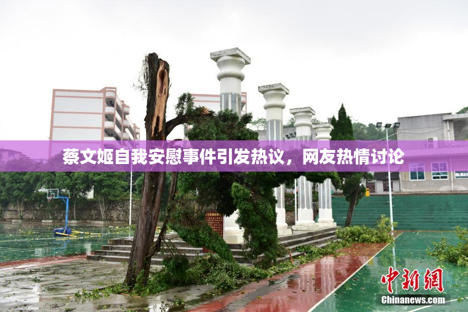 蔡文姬自我安慰事件引发热议，网友热情讨论