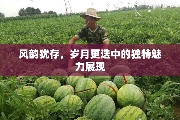 风韵犹存，岁月更迭中的独特魅力展现