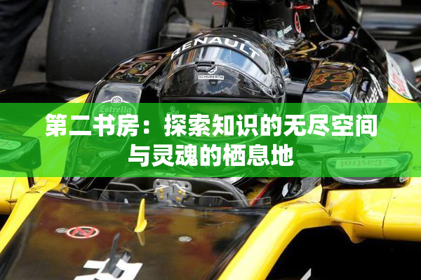 第二书房：探索知识的无尽空间与灵魂的栖息地