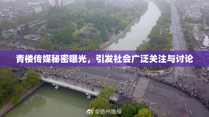 青楼传媒秘密曝光，引发社会广泛关注与讨论