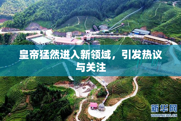 皇帝猛然进入新领域，引发热议与关注