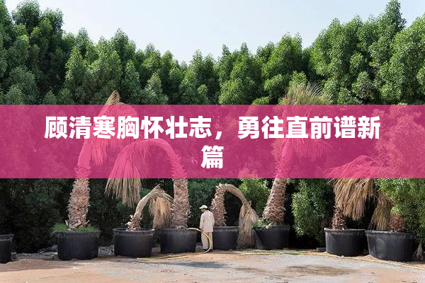 顾清寒胸怀壮志，勇往直前谱新篇