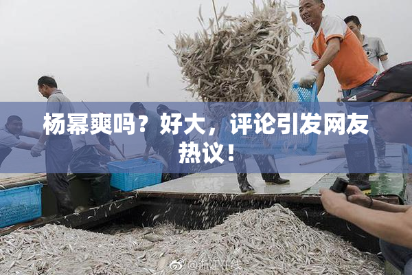 杨幂爽吗？好大，评论引发网友热议！