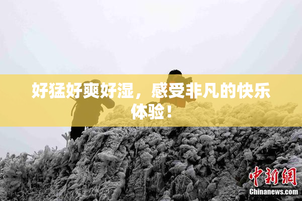 好猛好爽好湿，感受非凡的快乐体验！