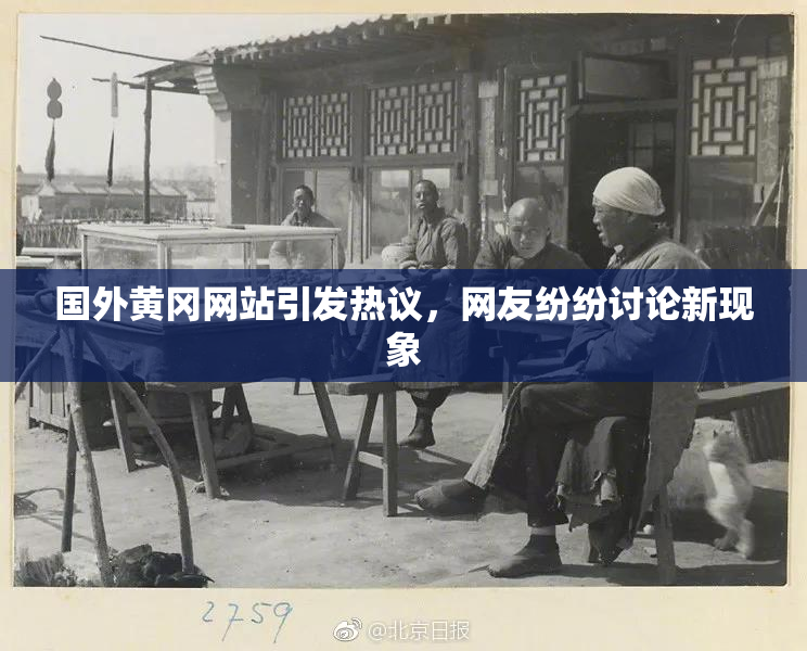 国外黄冈网站引发热议，网友纷纷讨论新现象