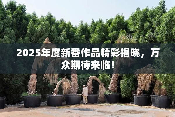 2025年度新番作品精彩揭晓，万众期待来临！