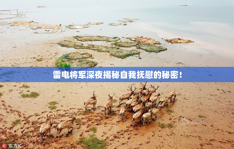 雷电将军深夜揭秘自我抚慰的秘密！