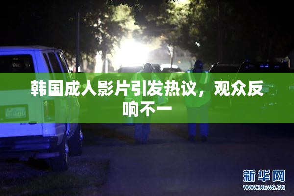 韩国成人影片引发热议，观众反响不一