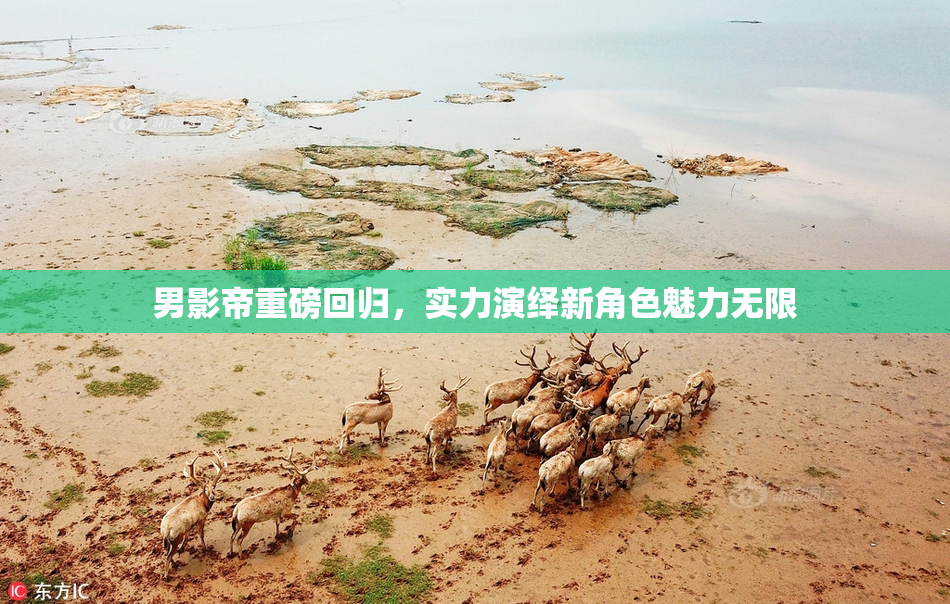 男影帝重磅回归，实力演绎新角色魅力无限