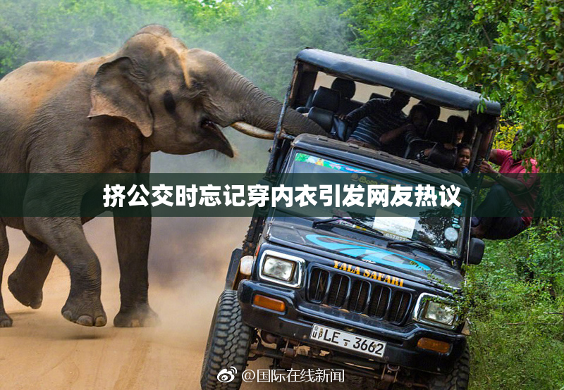 挤公交时忘记穿内衣引发网友热议