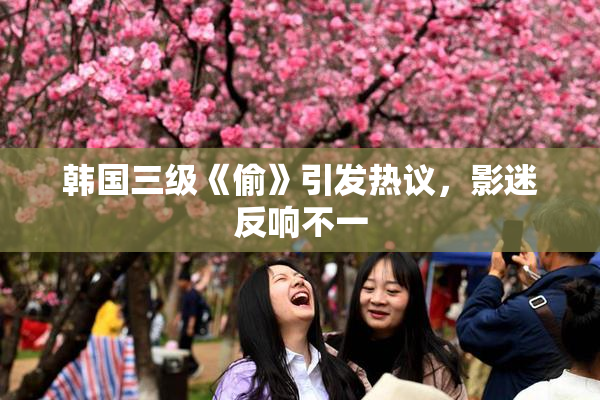 韩国三级《偷》引发热议，影迷反响不一