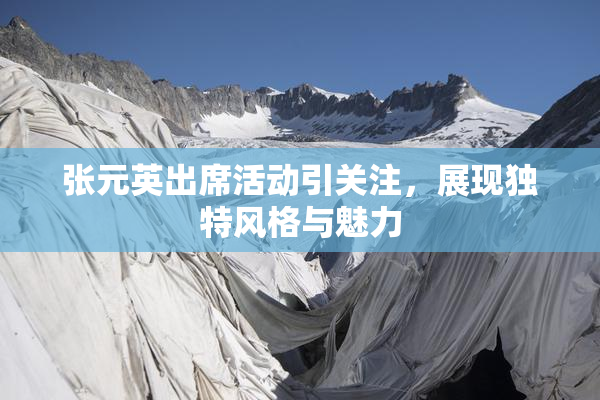 张元英出席活动引关注，展现独特风格与魅力