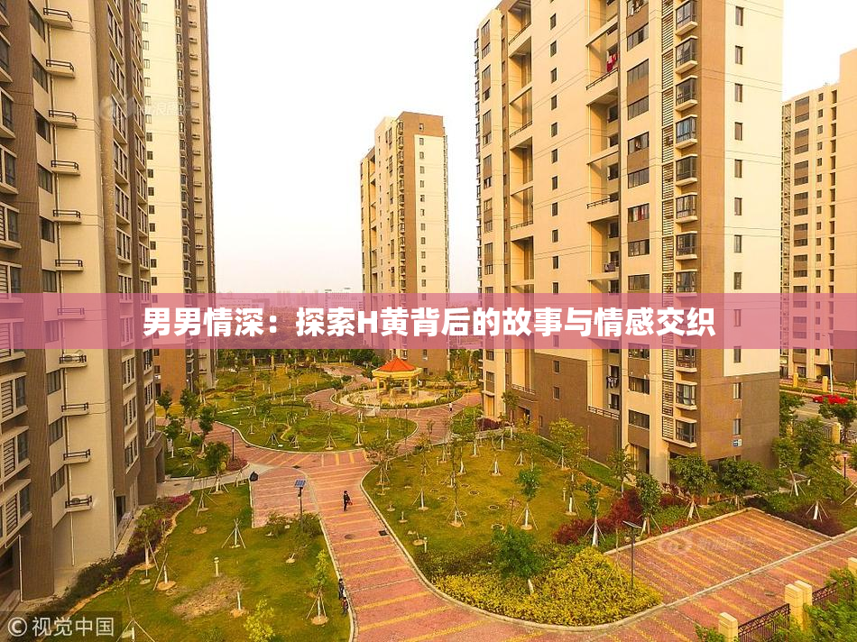 男男情深：探索H黄背后的故事与情感交织
