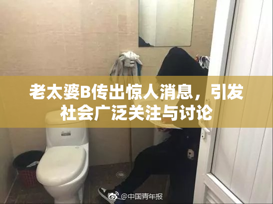 老太婆B传出惊人消息，引发社会广泛关注与讨论